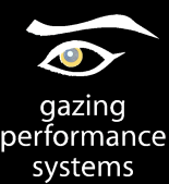 Representamos Gazing Perfomance Systems.