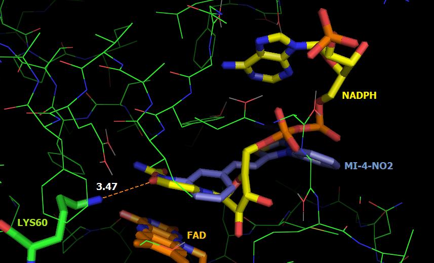 NH N + S N Cl - O N + O - 93 Rodrigues, R., et al.