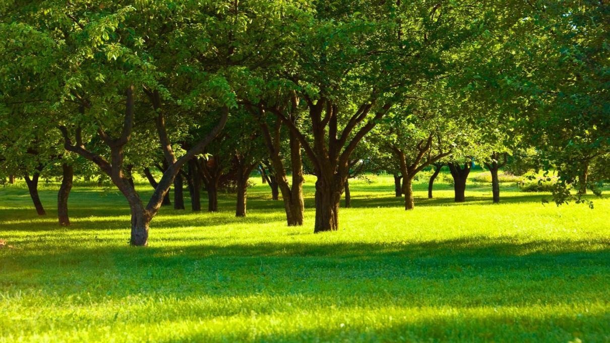 Missão da PortugalFoods Reforçar a competitividade das empresas do sector agro-alimentar,