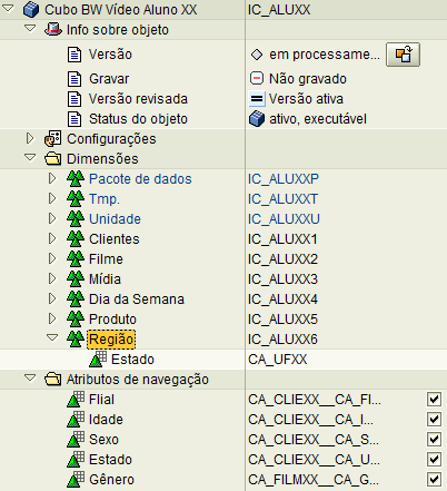 Para conseguir demonstrar as duas técnicas de modelagem com relação a mudança de atributos com o passar do tempo, vamos fazer uma alteração no Cubo.