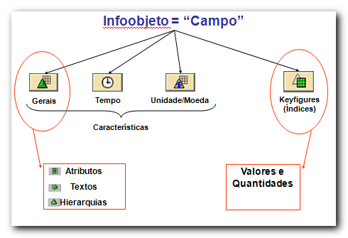 Criação de