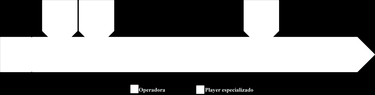 divisão que construímos arbitrariamente, de modo a facilitar a compreensão dessa indústria e a conceituação de MVNO nos Capítulos a seguir.