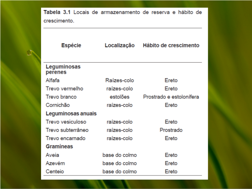 Nucléicos (RNA, DNA) Clorofilas etc.