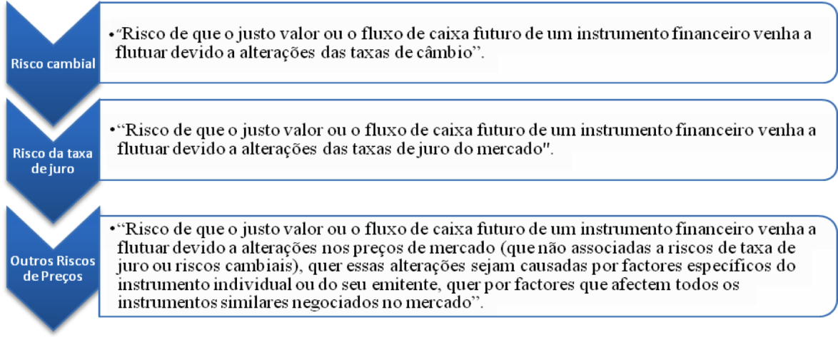 Para Nabais e Nabais (2011) a grandeza do risco implica uma elevada probabilidade de perda.