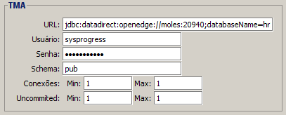 Config. do MSA com disp. Real-Time 1.2 Parametrização java/client A tela de parametrização do client é idêntica a tela de parametrização do Java servidor.