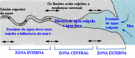 Figura 19 Esquema de um estuário típico mostrando os limites de suas zonas de transição que dependem exclusivamente das estações do ano, do clima e das marés. Fonte: BROWN et al.