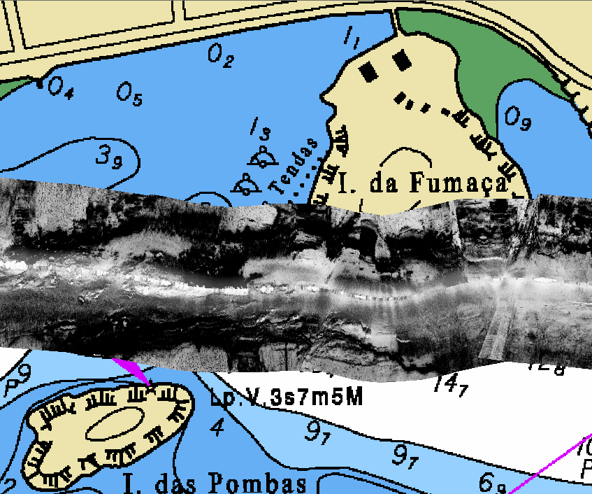 9.2. SONAR Em relação à resposta do sonar de varredura lateral, o mosaico final gerado foi bastante satisfatório, apresentando um fundo marinho heterogêneo com padrões de intensidade bastante