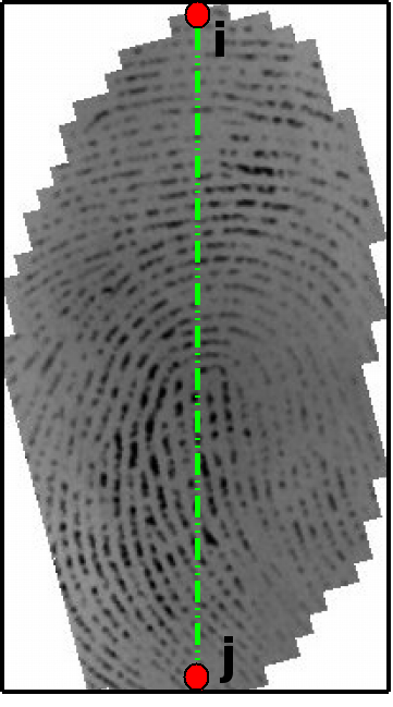 dequada aplicada pelo dedo sobre o sensor. Também foi necessária a utilização da equalização local para maximizar a variação dos tons de cinza no histograma melhorando o contraste nestas imagens.