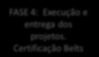 Ciclo anual de Projetos MÊS 1 MÊS 1 MÊS 1 MÊS 3 MÊS 2 / MÊS 8 FASE 1: Alinhamento do programa LSS a estratégia FASE 2: Identificação das Necessidades de Mudança (projetos de melhoria )e dos Líderes