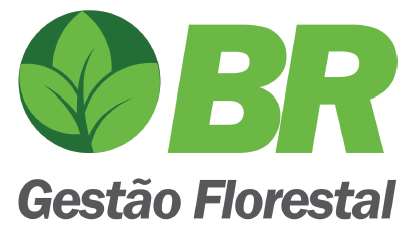 A BR Gestão Florestal é parceira da INFLOR na implantação