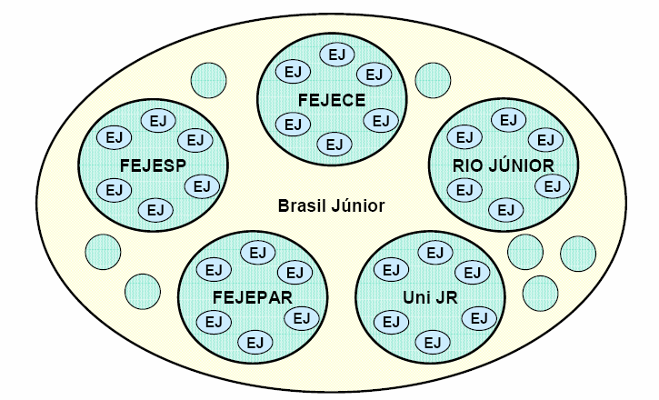 54 5.7.6 Estrutura do Movimento Brasileiro A estrutura do Movimento Empresa Júnior no Brasil é formada por três tipos de organizações: empresas juniores, federações e confederação (Brasil Júnior).