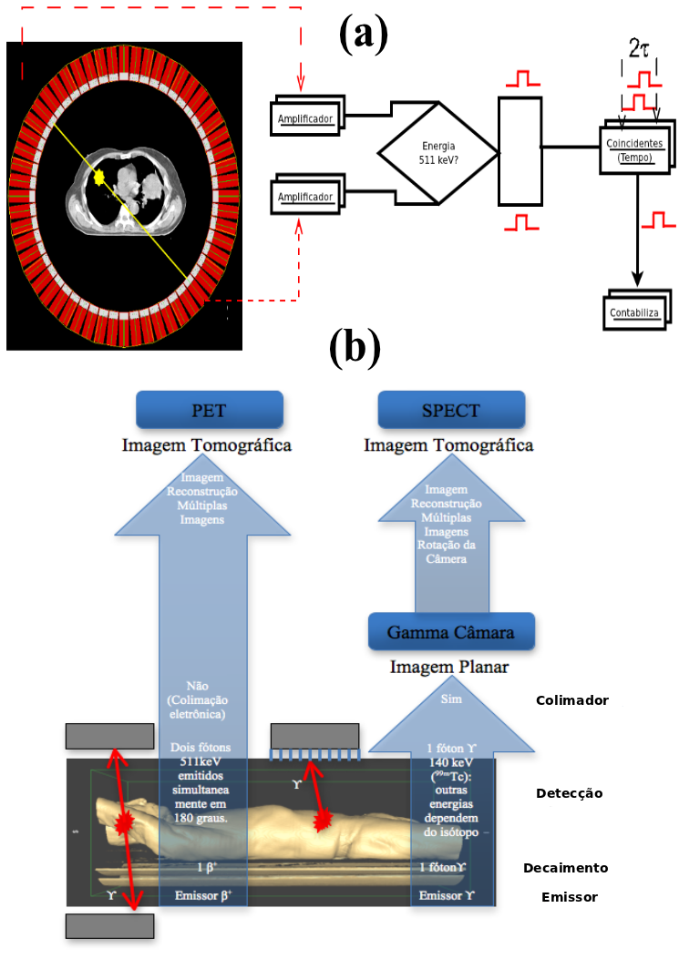 19 Figura 2 (a) Diagrama básico do circuito coincidência (colimação eletrônica em PET). Os cristais cintiladores estão conectados a amplificadores (Amp) e analisadores de pulsos (AP) individuais.