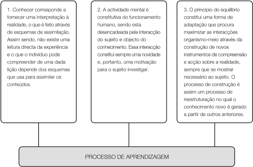 Para melhor perceber o construtivismo piagetiano podemos apresentar os três princípios básicos do processo de aprendizagem.