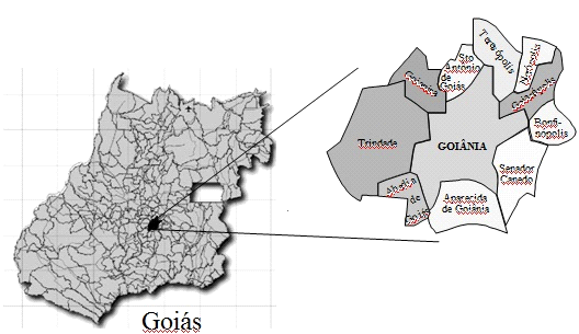 16 Figura 1 Estado de Goiás Os municípios que se limitam com a capital são: Abadia de Goiás, Aparecida de Goiânia, Goianápolis, Goianira, Teresópolis, Santo Antônio de Goiás, Senador Canedo,