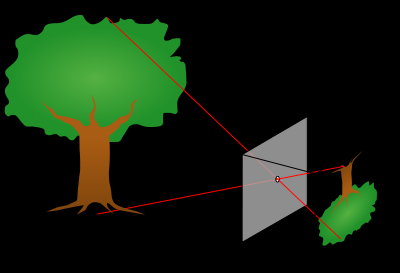 A diferença de cada um desses tipos é a maneira em que a imagem se projeta no sensor da câmera.