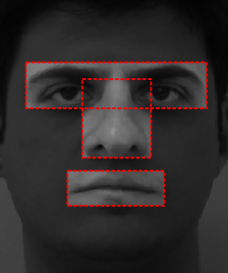 21 aparência de elementos independentes, ou seja, utiliza informações globais de regiões específicas da face, como, por exemplo, os olhos, nariz e boca.