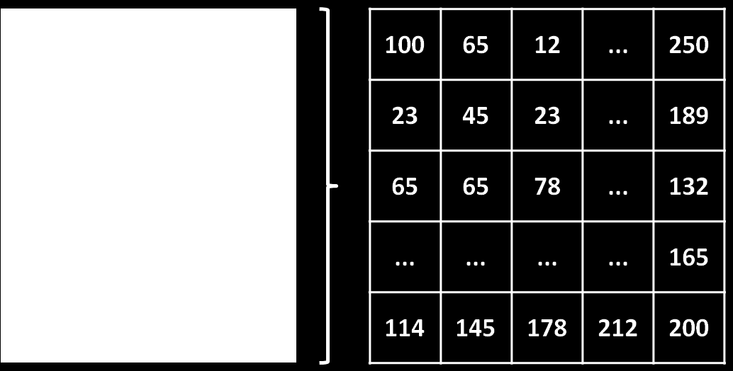 22 Figura 3.10: Extração global de características: matriz bi-dimensional de intensidade de pixels em escala de cinza. dos dados preservando informações relevantes das amostras originais.