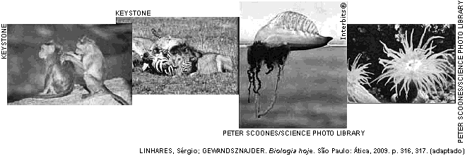 4. (UFJF 2012) Ditados populares são frases e expressões que transmitem conhecimentos comuns sobre a vida.