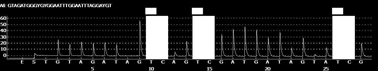 41 FIGURA 5 Exemplo de resultado da análise de metilação de DNA, gene PRKAA2. 4.