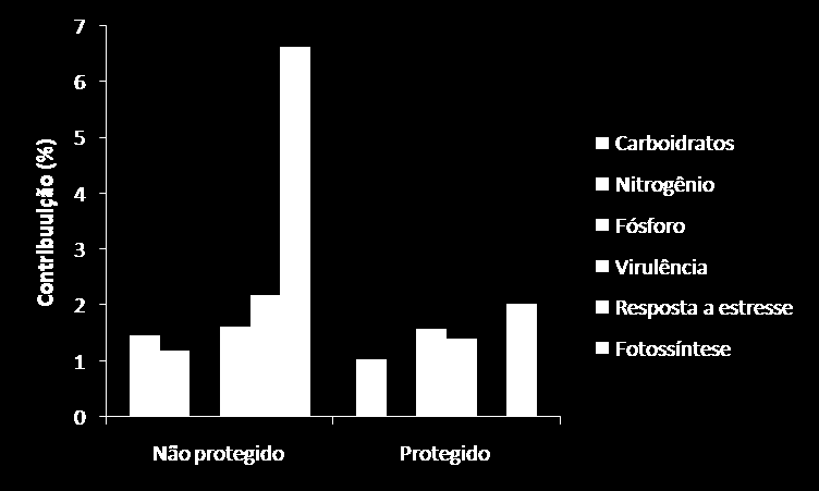 Figura 42. Versatilidade metabólica dos Vibrios. O gráfico mostra que os grupos de Vibrios nas áreas não protegidas apresentam maior comprometimento com metabolismo fototrófico.