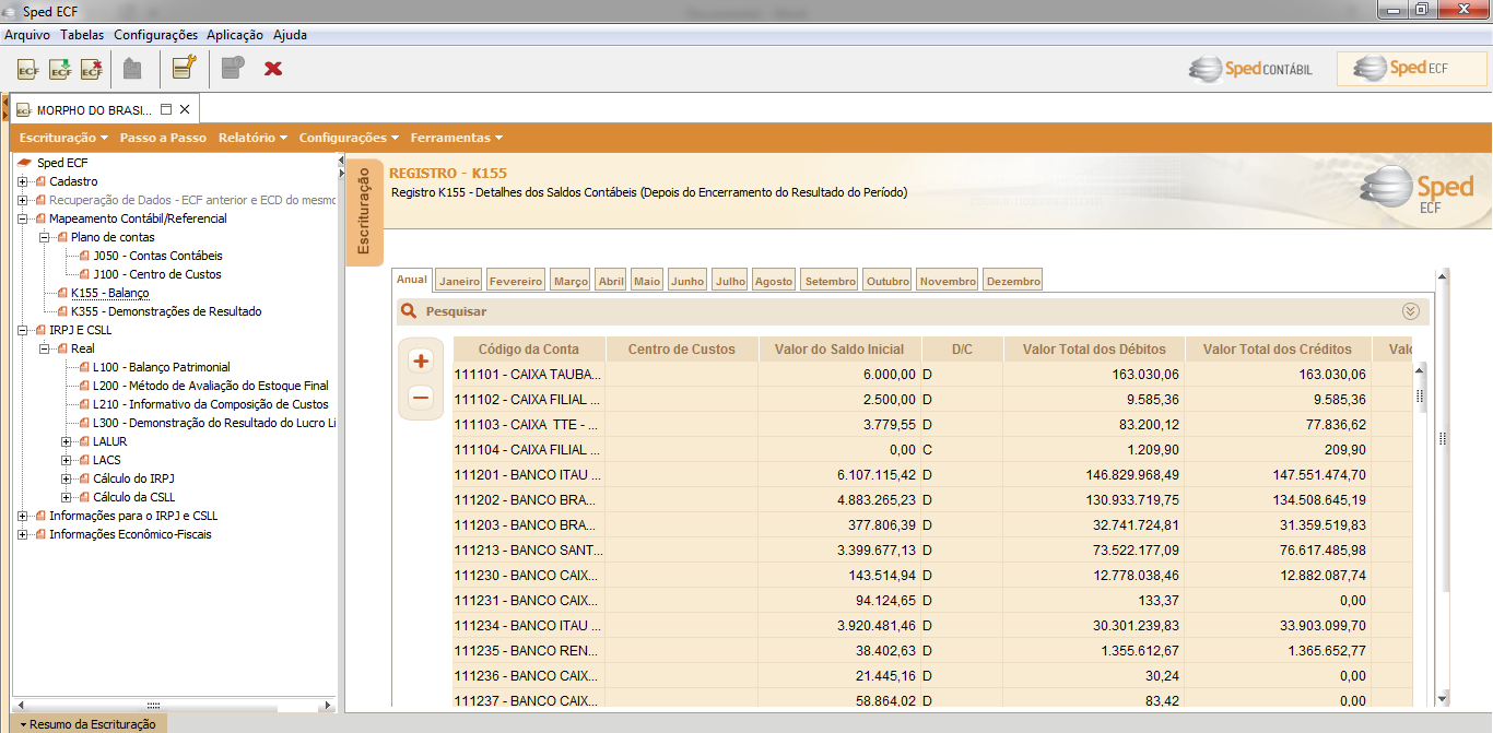 ECF Escrituração Contábil e Fiscal Saldos do