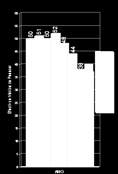 Colaboradores Figura 5 Efectivo médio de pessoal (2002/2009).