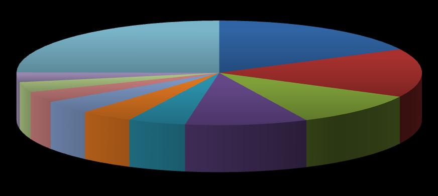 TABELAS E GRÁFICOS ANEXOS Gráfico II - Distribuição Consolidada da Receita Bruta da JBS 3T08 Distribuição da Receita por Mercado 3T08 0% Distribuição da Receita por Unidade de Negócio 3T08 Carne