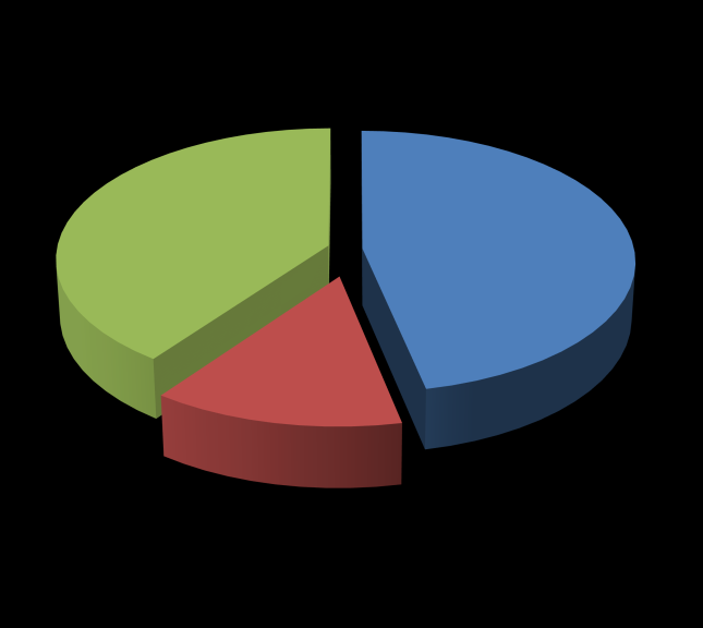 do quadro de pessoal quando de empresas terceirizadas e 4 (ou 13%) só empregam trabalhadores de empresas de segurança privada.