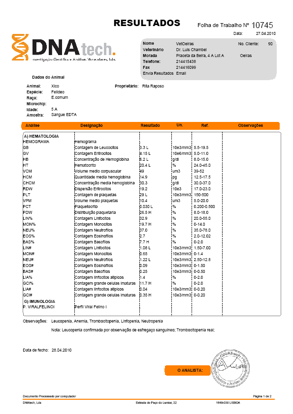 3- Resultado das análises