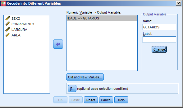 Nova variável Variáveis originais Valores novos e antigos Premimos então o botão Old and New Values, onde iremos especificar a recodificação.