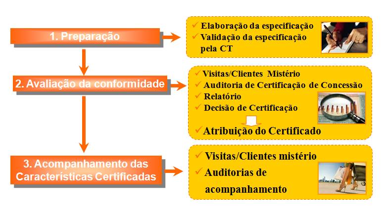 o número de colaboradores e as actividades desenvolvidas, diferindo nas visitas de