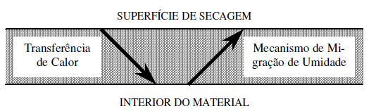 A Figura 2.1 representa, esquematicamente, o processo de secagem como resultado das transferências simultâneas de calor e massa. Figura 2.1 Representação esquemática do processo de secagem.