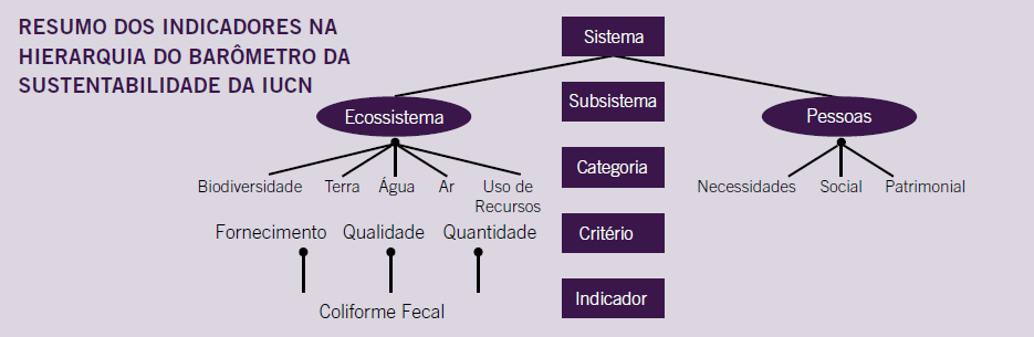 Fonte: Louette 2009.