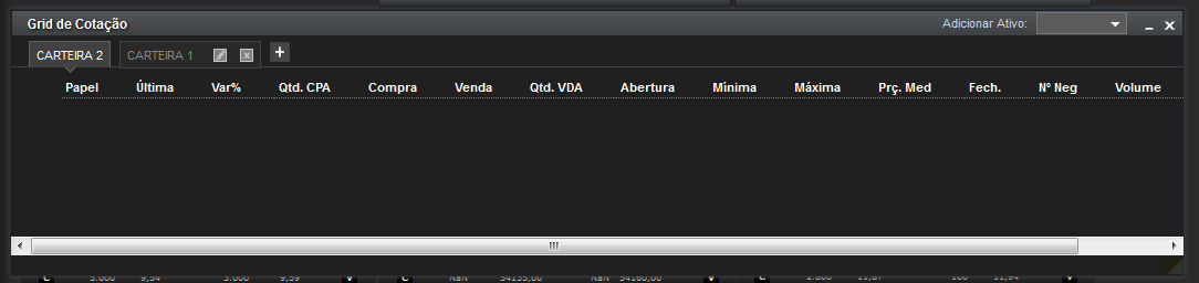 Após digitar o ativo clique em ENTER. Você visualizará o ativo na carteira. Para adicionar novos ativos basta seguir o mesmo passo a passo, digitando o ativo na caixa de texto e dando ENTER.