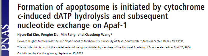 Apoptose: Apoptossomo