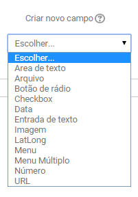 Seguindo a organização da base de dados, o professor visualiza uma mensagem indicando que esta atividade ainda não possui nenhum campo.