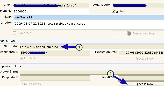 Transmitindo o Lote 1. Clique em Processar (Process Now) localizado no grupo Envio do Lote Recebendo a resposta do Lote 1.