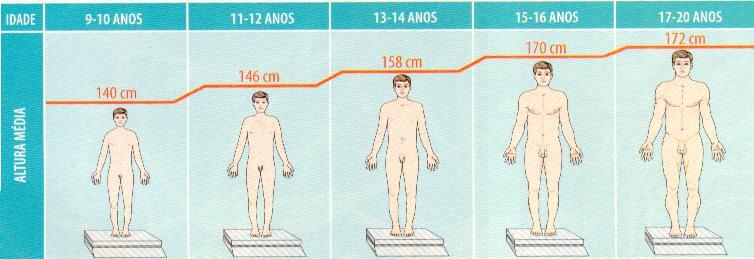 As glândulas sudoríparas passam a secretar uma maior quantidade de suor, alimento rico para as bactérias, que se proliferam nas axilas e nos pés.