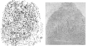 Fig. 2 Tecnologias biométricas Uma das vantagens de se utilizar a Biometria para identificar um indivíduo, é que fica mais difícil roubar, emprestar, esquecer ou forjar as características.