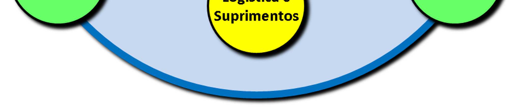 2. Estrutura Organizacional Palavra do Presidente O ano de 2014 foi, sem dúvidas, um ano de muitos desafios, estruturações e adequações para todos nós da Missão Sal da Terra.