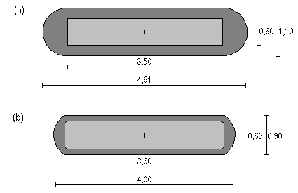 trabalho de Williamson 39, enquanto que as espeifiações da fonte v.2 foram obtidas pelo trabalho de Daskalov 40. Figura 11 - Ilustração das fontes modeladas neste trabalho.