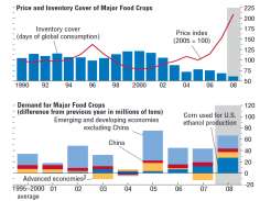 Principais Tendências do Agronegócio Crescimento da População mais rápido nos países em desenvolvimento por altas taxas de fertilidade O crescimento da renda causa maior demanda de alimentos em geral