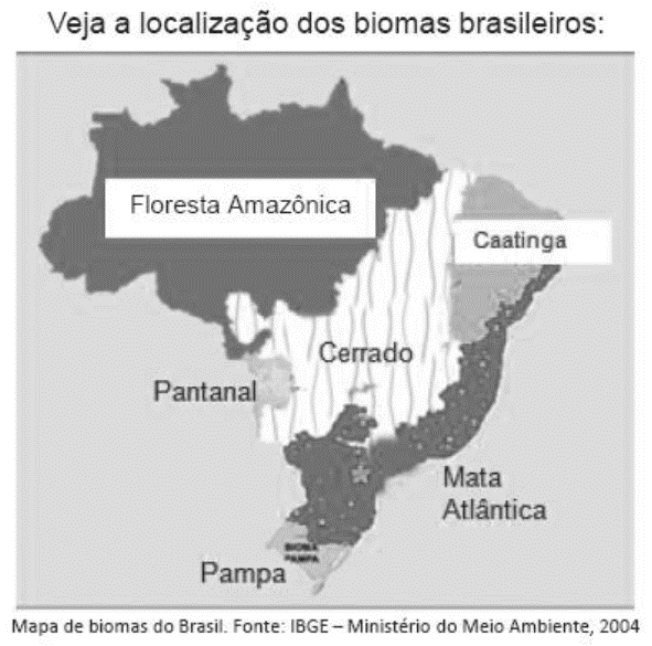 Principais ecossistemas brasileiros AMAZONIA É a maior floresta pluvial tropical do mundo, pois abrange grande parte da região Norte do Brasil e está presente nos estados do Acre, Amazonas, Amapá,