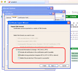 g) Seleccionar a opção Yes, export the private key (Sim, exportar a chave privada), para garantir que a chave privada seja exportada juntamente com o Certificado.