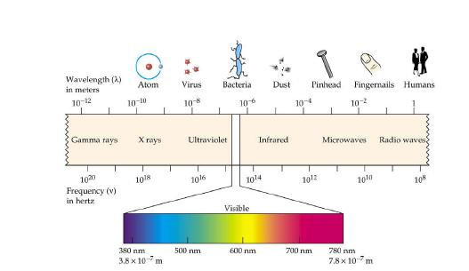 3.1.2- Absorção da radiação eletromagnética: Quando um feixe de radiação atravessa um meio material sólido, líquido