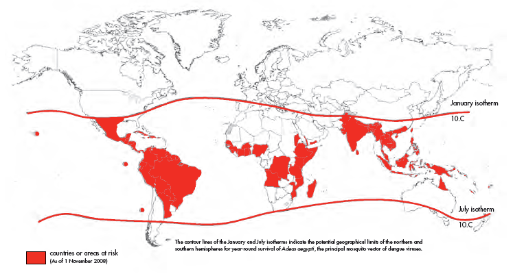 Capítulo 1 Introdução A dengue é uma infecção viral transmitida ao homem por um vetor artrópodo, do gênero Flavivirus (Guzman et al., 21). Sendo o principal vetor, o mosquito Aedes aegypti.