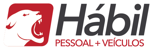 Manual do Hábil Pessoal + Veículos Software Controle Financeiro Pessoal