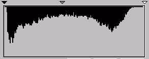 O eixo Y é utilizado para representar a quantidade de pixels em cada nível de luminosidade.