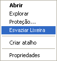 NÃO VAI PARA LIXEIRA... Itens excluídos de locais da rede. Itens excluídos de mídia removível (como disquetes e pen-drive). Itens maiores do que a capacidade de armazenamento da Lixeira.