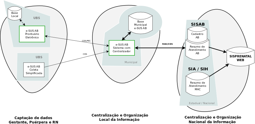 das informações de todo o cuidado à gestante/puérpera e recém-nascido (figura 3).